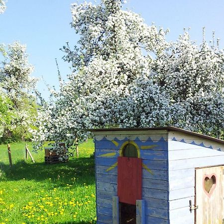 Schoenbuchjuwel Walddorf  Екстериор снимка
