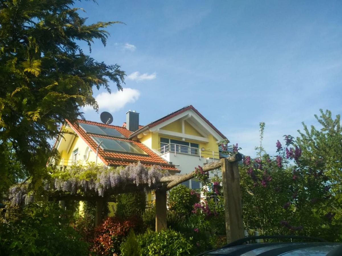 Schoenbuchjuwel Walddorf  Екстериор снимка
